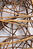 B005672rotcroof60